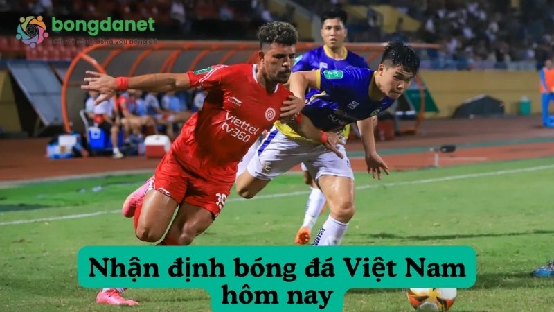 Dự đoán kèo bóng đá V League chính xác