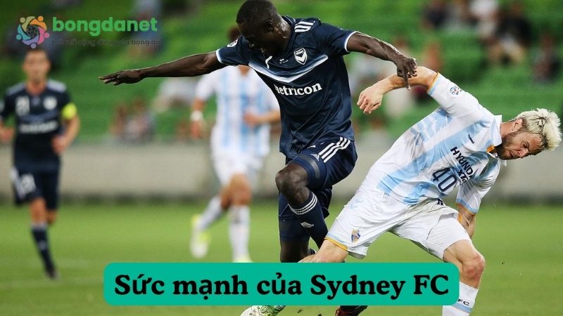 Sydney FC - Chiến thuật pressing chủ động