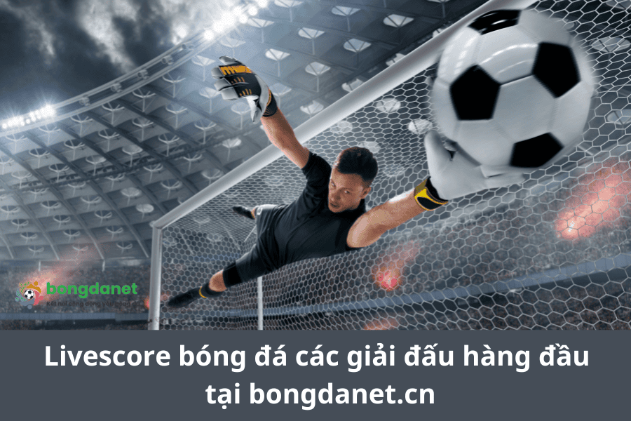 Livescore bóng đá các giải đấu hàng đầu tại bongdanet.cn