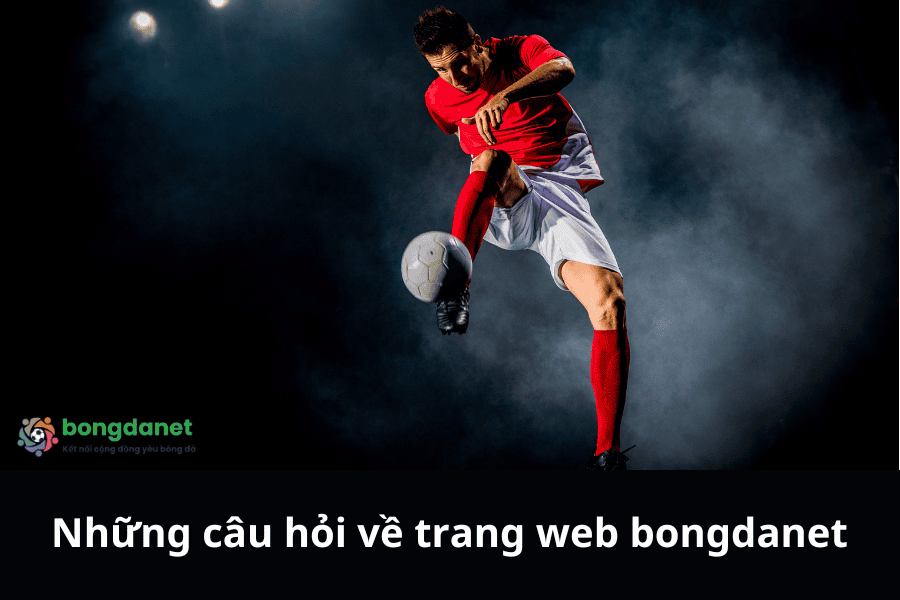 Những câu hỏi về trang web bongdanet