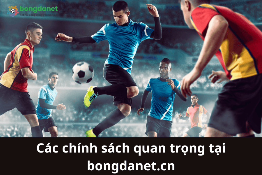 Các chính sách quan trọng tại bongdanet.cn