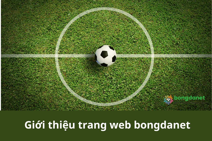 Giới thiệu trang web bongdanet 