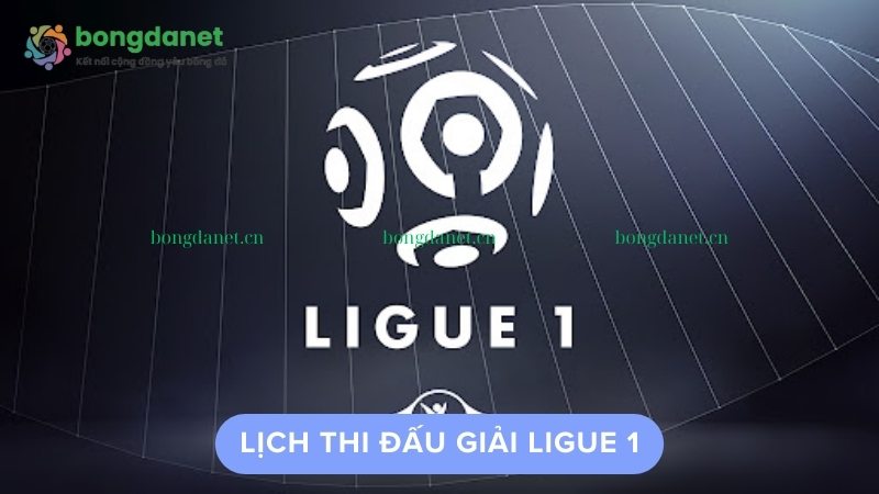 Ligue 1 là giải đấu bóng đá chuyên nghiệp hàng đầu ở Pháp