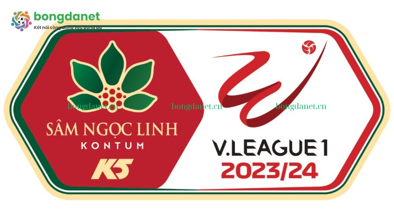 V League, hay còn được biết đến với tên gọi là Giải bóng đá vô địch quốc gia Việt Nam