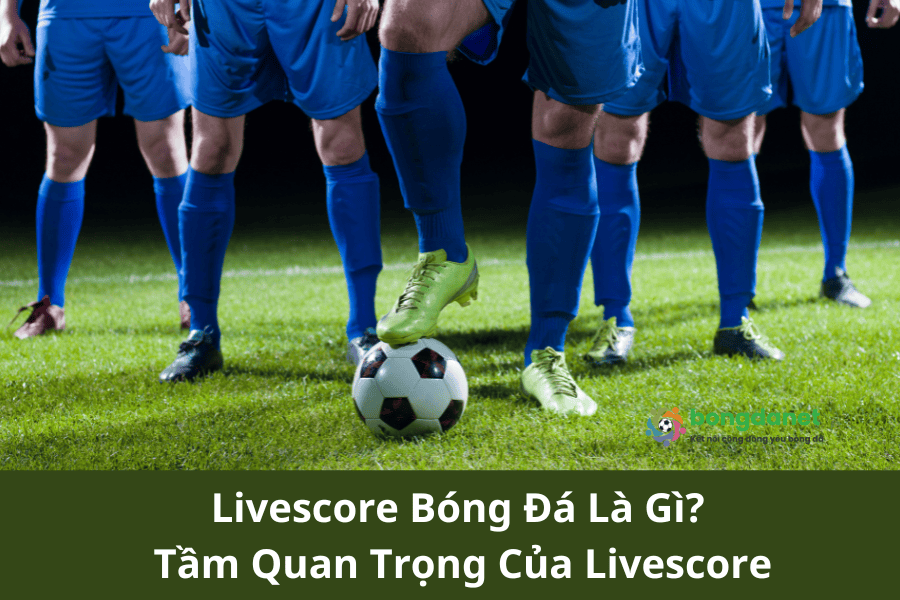 Livescore Bóng Đá Là Gì? Tầm Quan Trọng Của Livescore