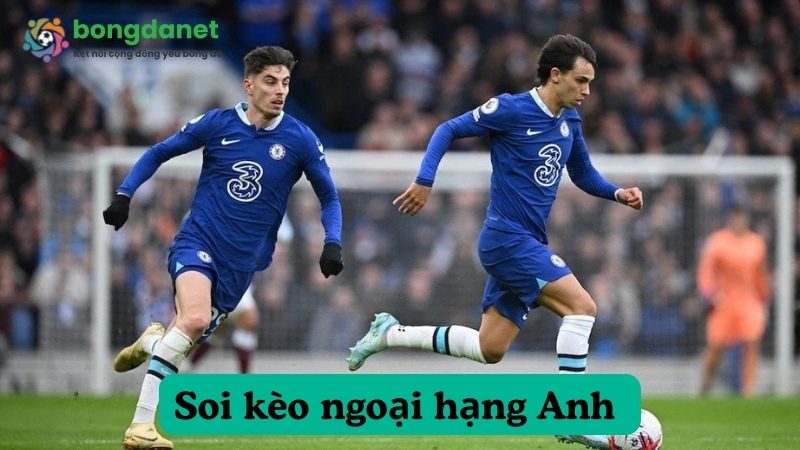 Soi kèo Ngoại hạng Anh