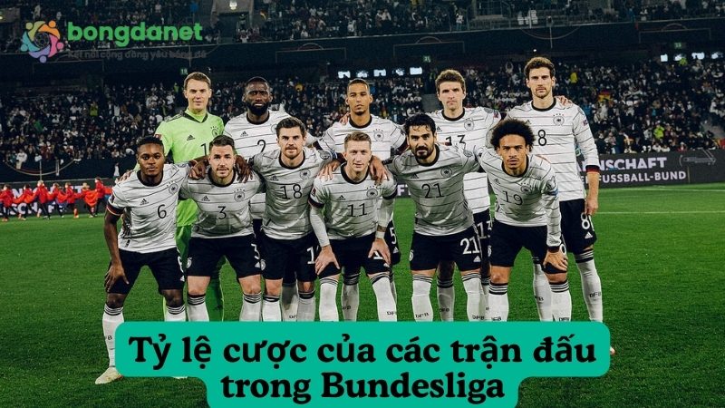 Tỷ lệ cược của các trận đấu trong Bundesliga Đức