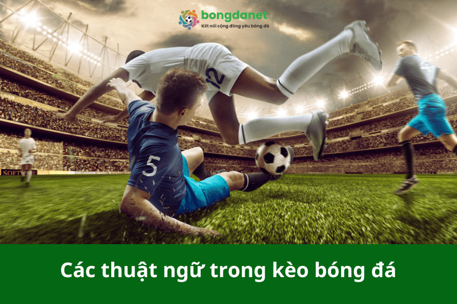 Các thuật ngữ trong kèo bóng đá