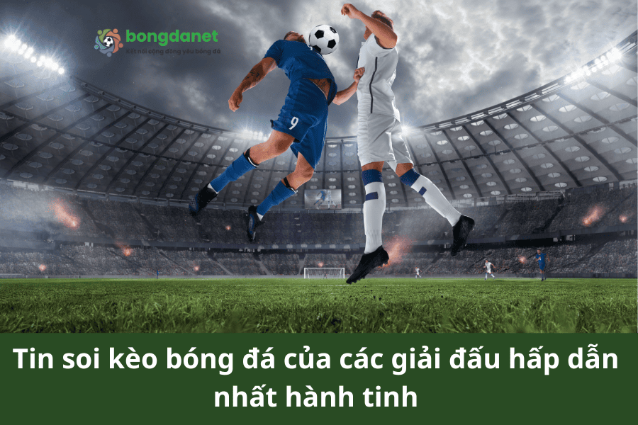 Tin soi kèo bóng đá của các giải đấu hấp dẫn nhất hành tinh