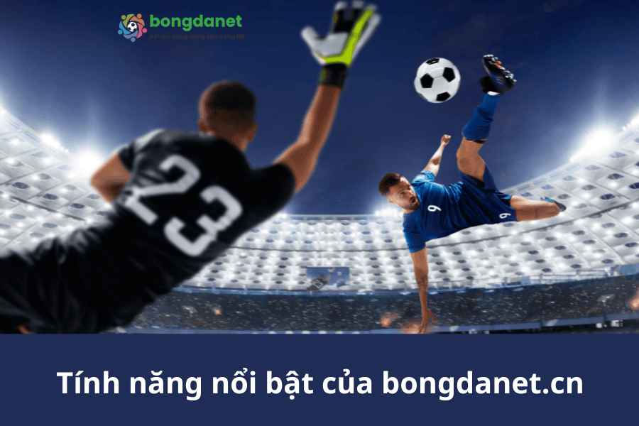 Tính năng nổi bật của bongdanet.cn