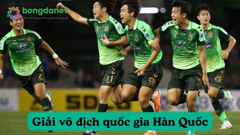 Giới thiệu về Giải vô địch quốc gia Hàn Quốc