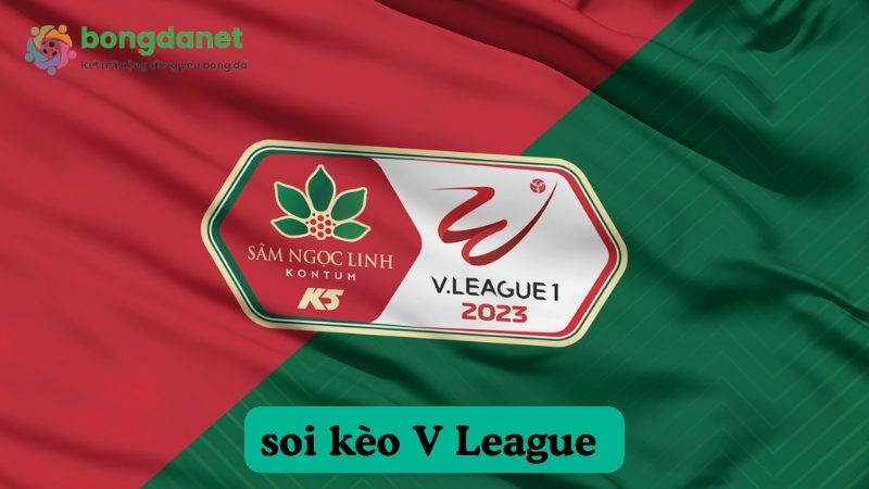 Thông tin về giải V League