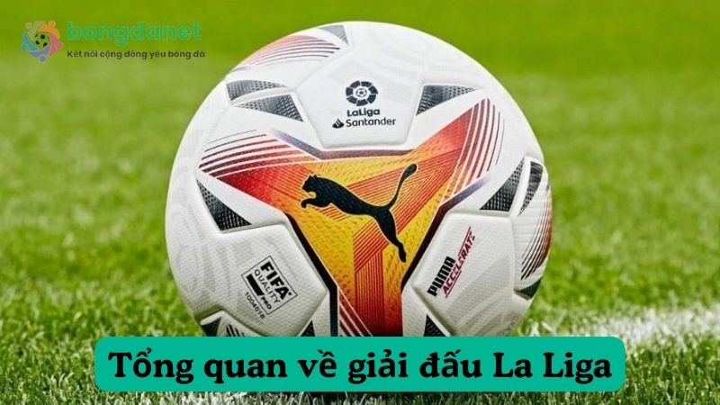 Tổng quan về giải đấu La Liga